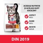 Hill's SP Feline Adult Hairball and Indoor Chicken, 3 kg - gust