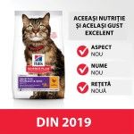Hill's SP Feline Adult Skin and Stomach Chicken, 300 g - gust