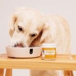 Supliment pentru digestie Doctor Totolici Probiotics, 100 g (OTC)
