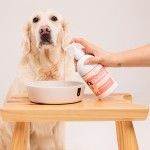 Ulei de somon pentru caini si pisici Doctor Totolici Salmon Oil, 250 ml (OTC)