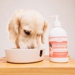 Ulei de somon pentru caini si pisici Doctor Totolici Salmon Oil, 250 ml (OTC)