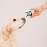 Supliment pentru articulatii Doctor Totolici Joints & Mobility, 100 g (OTC)