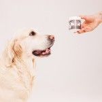 Supliment pentru imunitate Doctor Totolici Immunity Boost, 100 g (OTC)