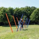 Jucarie Agility 115x3 cm 12 buc 3206