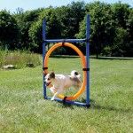 Jucarie Agility Ring 65 cm 3208