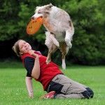 Jucarie Frissbe Dog Activity 19 cm 33561