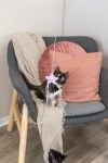 Trixie Jucarie pentru Pisici cu Catnip, Stea pe Bat, 40 cm, 45659 (Jucarii - Pisici)