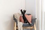 Trixie Jucarie pentru Pisici cu Catnip, Stea pe Bat, 40 cm, 45659 (Jucarii - Pisici)