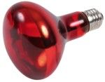Lampa Infrarosu pentru Terariu 80x108 mm 100W 76097