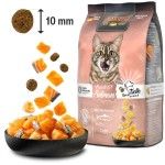 Hrana uscata pisici, Leonardo Adult Grain Free Somon, 300 g (Hrana Uscata - Pisici)