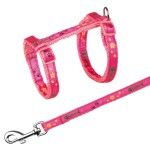 Lesa 1.2 m si Ham 22-36 cm/10 mm pentru Pisici 4209