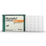 Numelvi Tratament Prurit Caini S 4.8 mg, 90 tablete/ cutie (PRESCRIPTIE NECESARA)