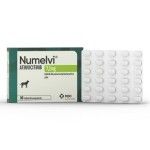 Numelvi Tratament Prurit Caini M 7.2 mg, 90 tablete/ cutie (PRESCRIPTIE NECESARA)