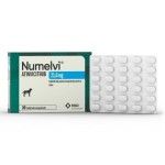 Numelvi Tratament Prurit Caini L 21.6 mg, 90 tablete/ cutie (PRESCRIPTIE NECESARA)