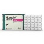 Numelvi Tratament Prurit Caini XL 31.6 mg, 90 tablete/ cutie (PRESCRIPTIE NECESARA)