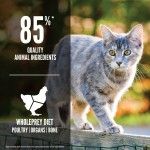 Orijen Original Cat, 5.4 kg - procent