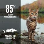 Orijen Cat 6 Fish, 5.4 kg (Hrana Uscata - Pisici)