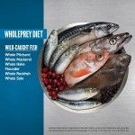 Hrana uscata caini, Orijen Dog 6 Fish, Peste, 2 kg (Hrana Uscata - Caini)