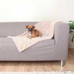 Patura Cosy 70 X 50 cm 37163