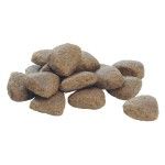 PURINA PRO PLAN ADULT Everyday Nutrition, Talie Mare Atletică, Somon, 10 kg (Hrana Uscata - Caini)