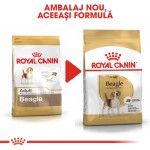Royal Canin Beagle Adult, 3 kg - nou