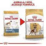 Royal Canin Boxer Adult - nou
