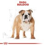 Royal Canin Bulldog Adult hrana uscata caine, 3 kg