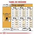 Royal Canin Bulldog Adult hrana uscata caine, 3 kg
