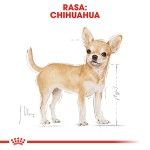 Royal Canin Chihuahua Adult hrana uscata caine, 1.5 kg