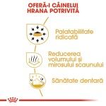 Royal Canin Chihuahua Adult hrana uscata caine, 1.5 kg