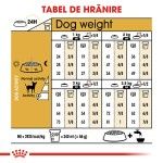 Royal Canin Chihuahua Adult hrana uscata caine, 1.5 kg