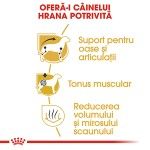 Royal Canin Dachshund Adult hrana uscata caine Teckel, 1.5 kg