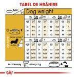 Royal Canin Dachshund Adult hrana uscata caine Teckel, 1.5 kg