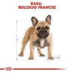 Royal Canin French Bulldog Adult hrana uscata caine, 1.5 kg