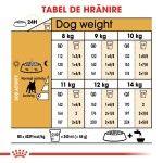 Royal Canin French Bulldog Adult, 3 kg - hranire