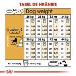 Royal Canin German Shepherd Adult hrana uscata caine Ciobanesc German, 11 kg