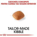 Royal Canin Golden Retriever Adult hrana uscata caine, 3 kg