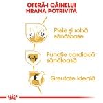 Royal Canin Golden Retriever Adult hrana uscata caine, 3 kg