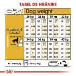 Royal Canin Golden Retriever Adult - hranire