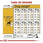 Royal Canin Golden Retriever Adult hrana uscata caine, 3 kg