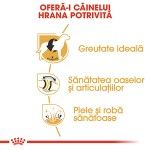 Royal Canin Labrador Adult hrana uscata caine, 3 kg
