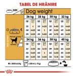 Royal Canin Labrador Adult hrana uscata caine, 3 kg