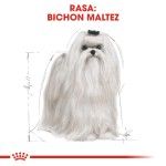 Royal Canin Maltese Adult - rasa