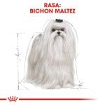 Royal Canin Maltese Adult hrana uscata caine, 1.5 kg
