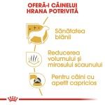 Royal Canin Maltese Adult hrana uscata caine, 1.5 kg