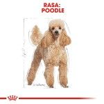 Royal Canin Poodle Adult hrana uscata caine, 1.5 kg