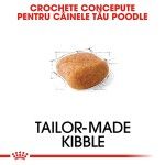 Royal Canin Poodle Adult hrana uscata caine, 1.5 kg