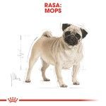 Royal Canin Pug (Mops) Adult, 1.5 kg - rasa