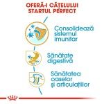 Royal Canin Bulldog Puppy hrana uscata caine junior, 3 kg 