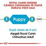 Royal Canin Chihuahua Puppy - varsta
